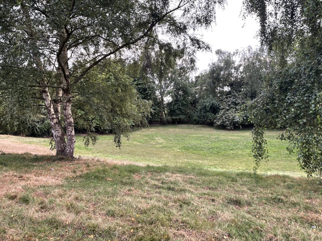 Paddock slopes down to the river
